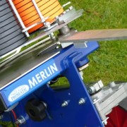 Merlin_close up